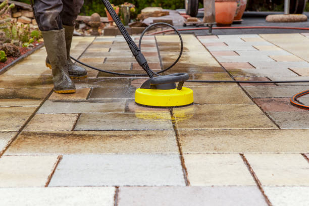 Animal Enclosure Cleaning in Bangor, PA