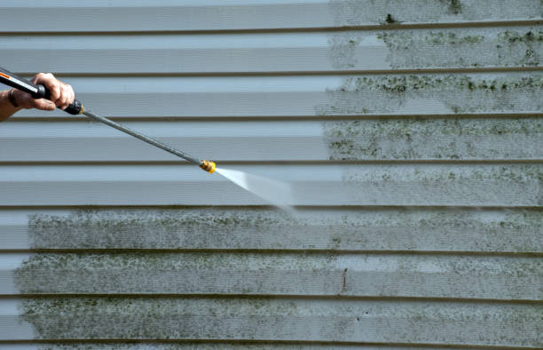Best Roof Washing  in Bangor, PA