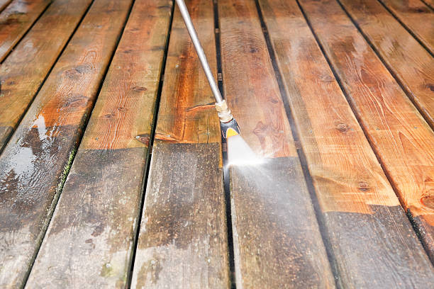 Best Roof Washing  in Bangor, PA